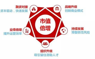 华一世纪企业管理顾问 股权激励咨询产品中心解决方案